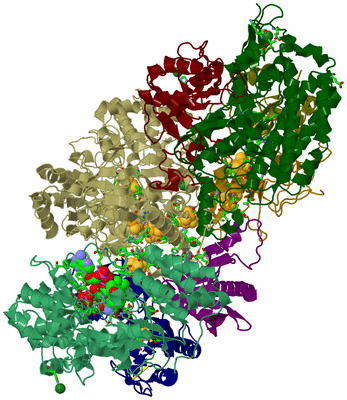 Image Biol. Unit 1 - sites