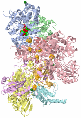 Image Biological Unit 2