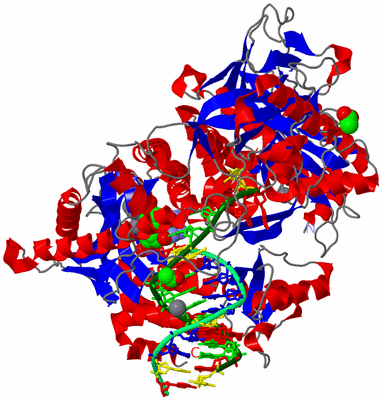 Image Asym./Biol. Unit