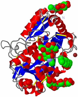 Image Asym./Biol. Unit