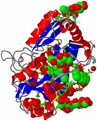 Image Asym./Biol. Unit - sites