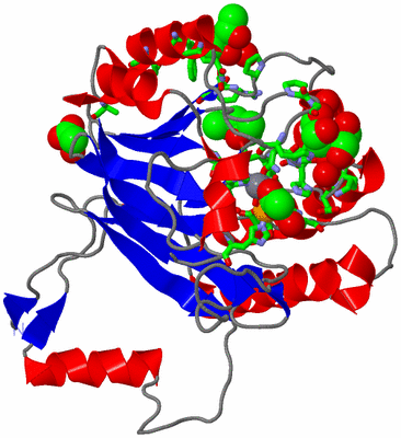 Image Asym. Unit - sites