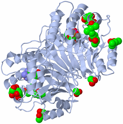 Image Biological Unit 1