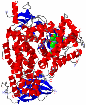 Image Asym./Biol. Unit