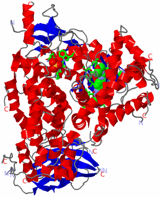 Image Asym./Biol. Unit - sites