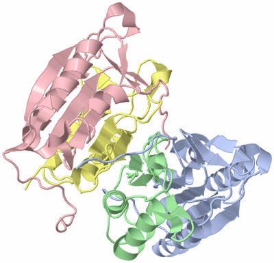 Image Asym./Biol. Unit