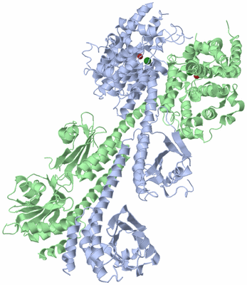 Image Asym./Biol. Unit