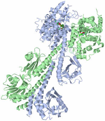 Image Asym./Biol. Unit - sites