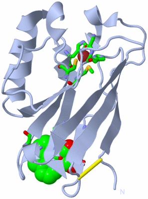 Image Biol. Unit 1 - sites