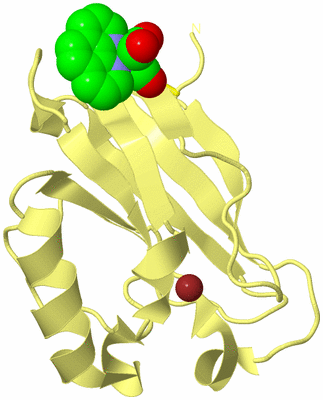 Image Biological Unit 4