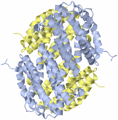 Image Biological Unit 1