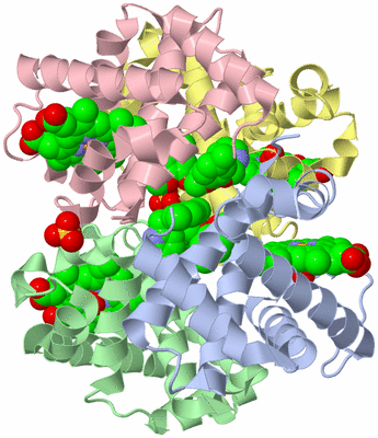 Image Biological Unit 1