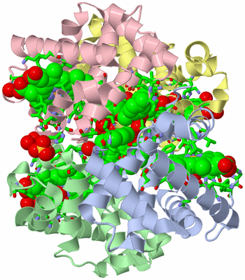 Image Biol. Unit 1 - sites