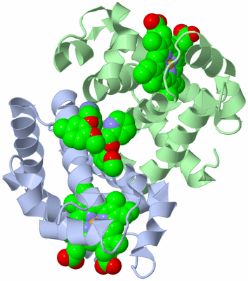 Image Biological Unit 2