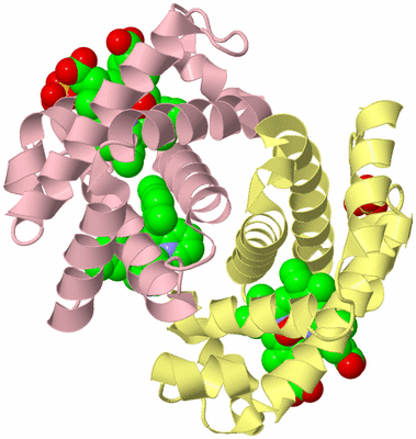 Image Biological Unit 3