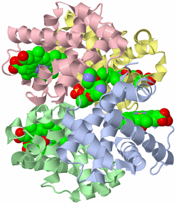 Image Biological Unit 1