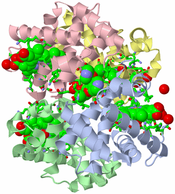 Image Biol. Unit 1 - sites