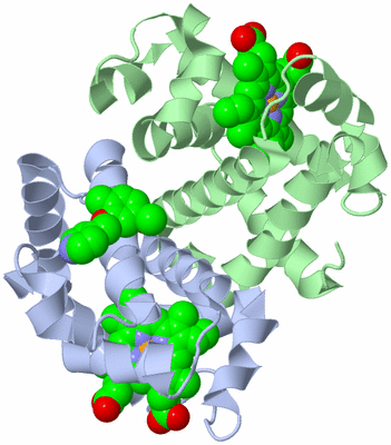 Image Biological Unit 2