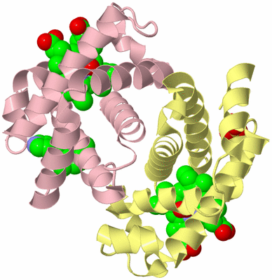 Image Biological Unit 3