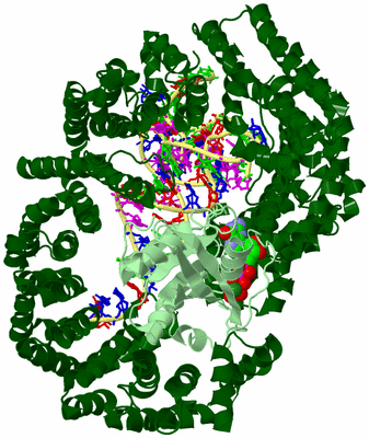 Image Biological Unit 1