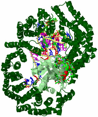 Image Biol. Unit 1 - sites