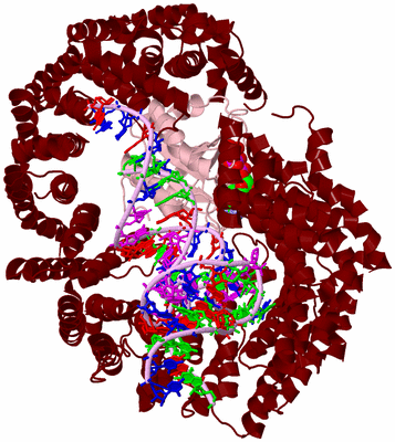 Image Biological Unit 2