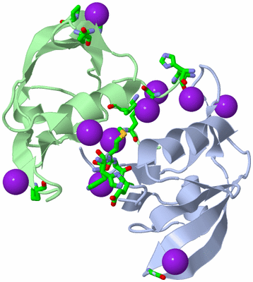 Image Asym./Biol. Unit - sites