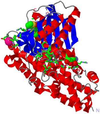 Image Asym./Biol. Unit - sites