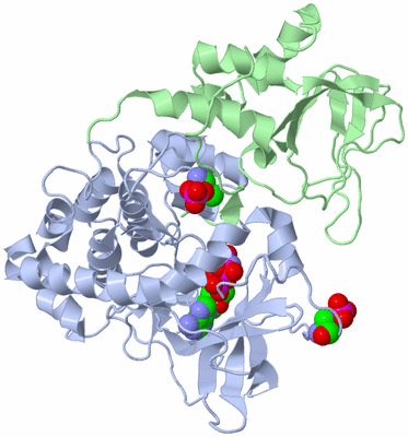 Image Asym./Biol. Unit