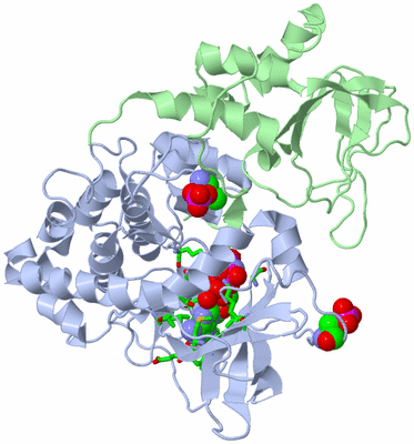 Image Asym./Biol. Unit - sites