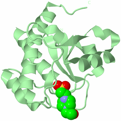 Image Biological Unit 2