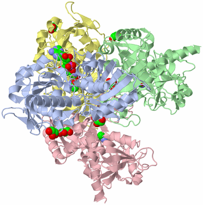 Image Asym./Biol. Unit