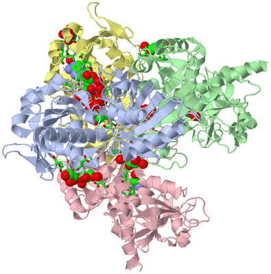 Image Asym./Biol. Unit - sites