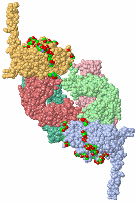 Image Biological Unit 1