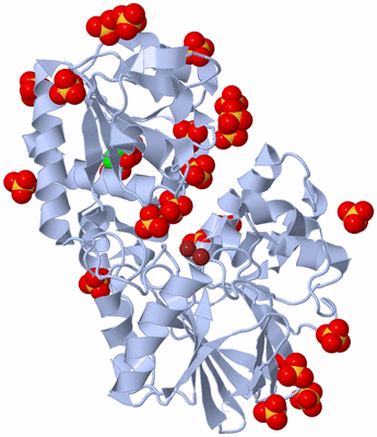 Image Biological Unit 1