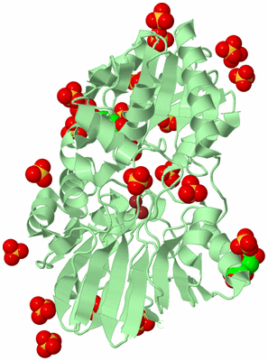 Image Biological Unit 2