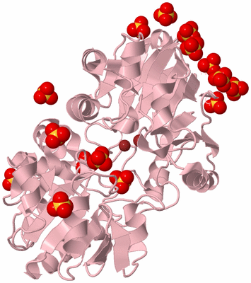 Image Biological Unit 3