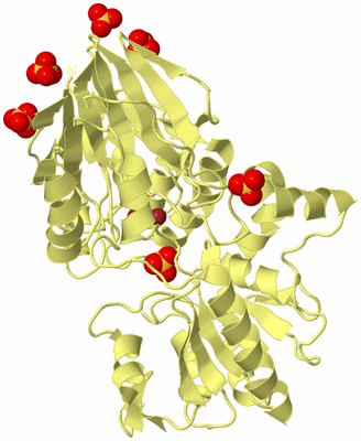 Image Biological Unit 4