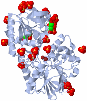 Image Biological Unit 1