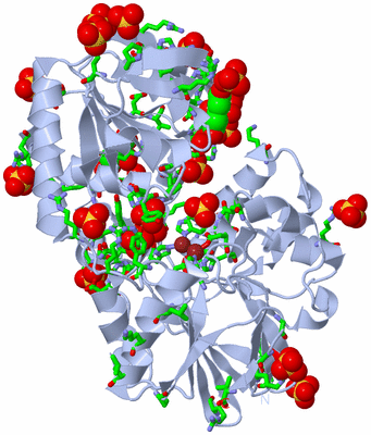 Image Biol. Unit 1 - sites