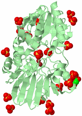 Image Biological Unit 2