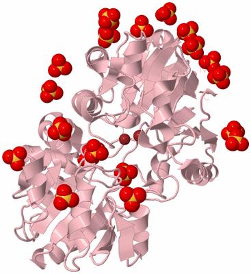 Image Biological Unit 3