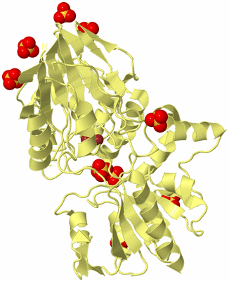 Image Biological Unit 4