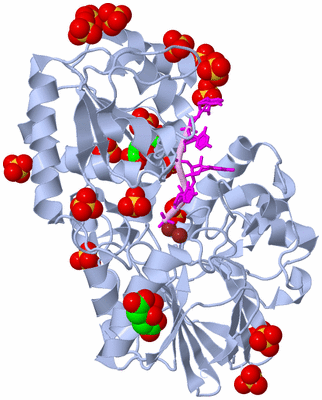 Image Biological Unit 1