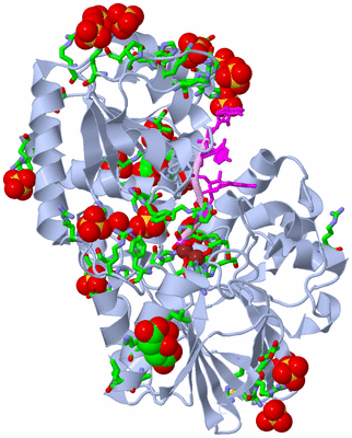 Image Biol. Unit 1 - sites