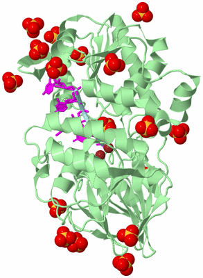 Image Biological Unit 2