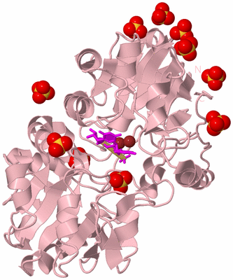 Image Biological Unit 3