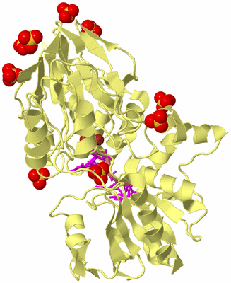 Image Biological Unit 4