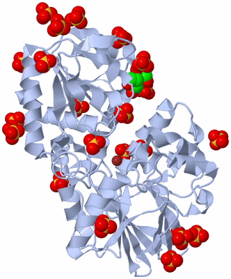 Image Biological Unit 1