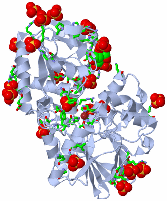 Image Biol. Unit 1 - sites